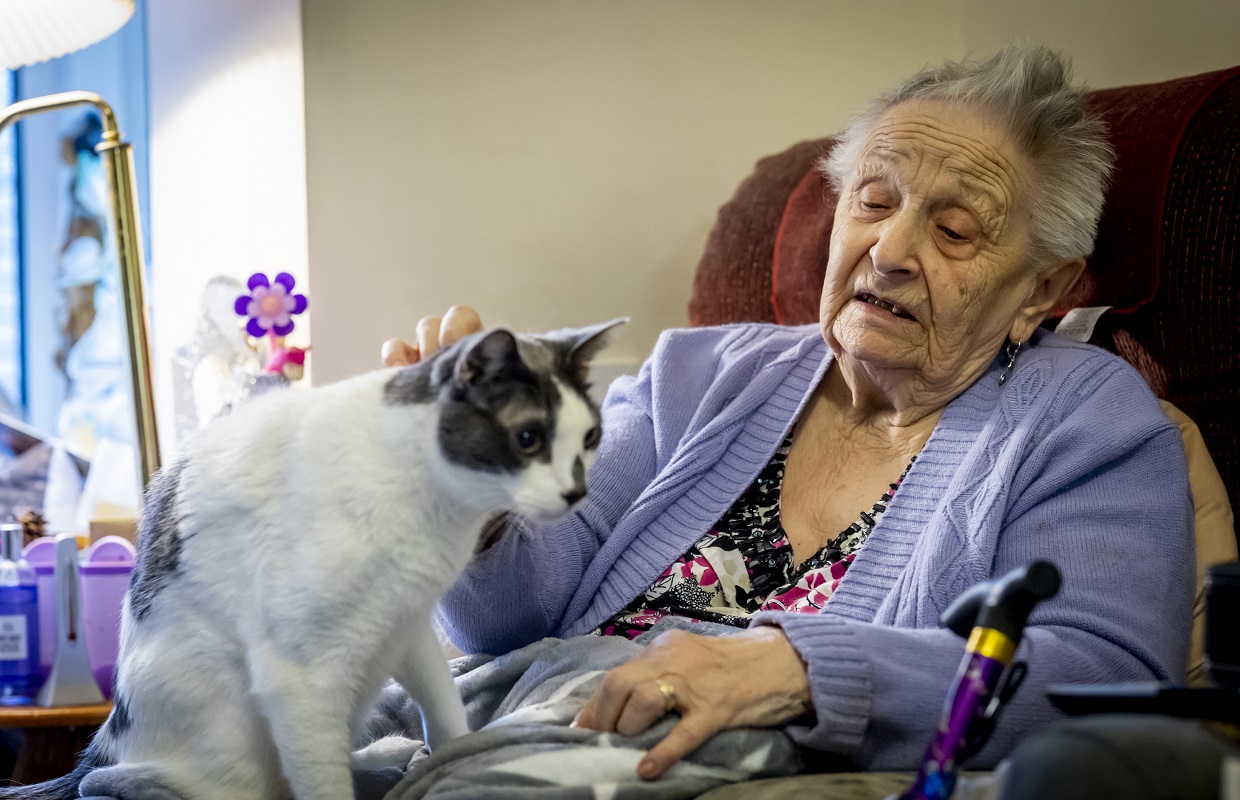 'Smart’ socks that track distress in people living with dementia could ...